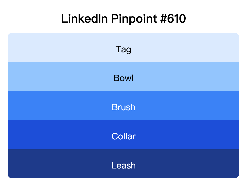 LinkedIn Pinpoint 610