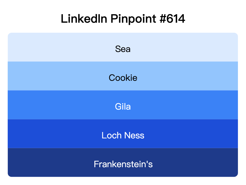 LinkedIn Pinpoint 614