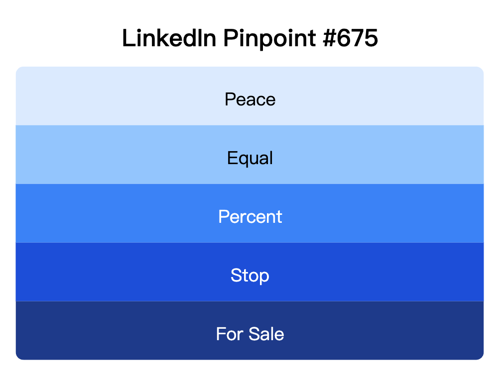 LinkedIn Pinpoint 675