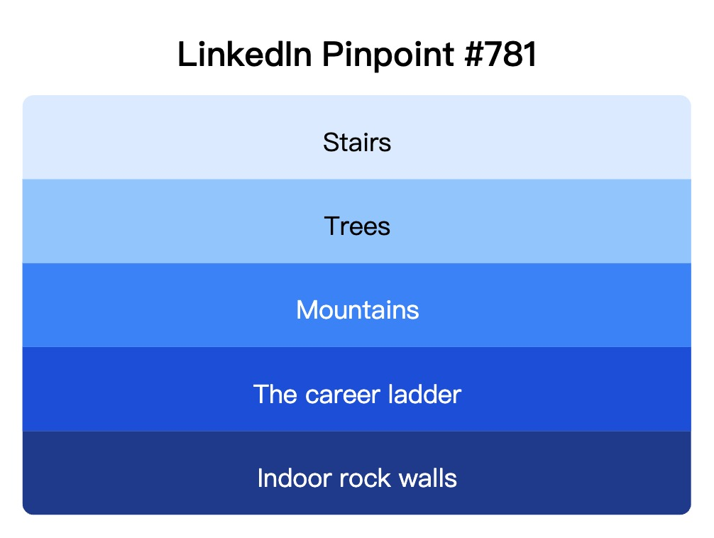 LinkedIn Pinpoint 781