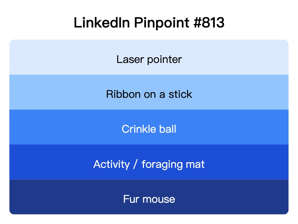 LinkedIn Pinpoint 813