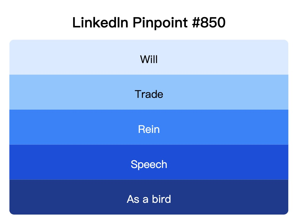 LinkedIn Pinpoint 850